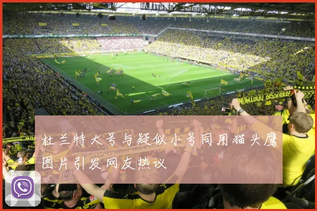 杜兰特大号与疑似小号同用猫头鹰图片引发网友热议
